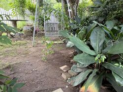 Bedok Road (D16), Semi-Detached #530225621